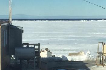A view of the floe edge from Hall Beach. With school over for the summer, many community members were out on the land enjoying the Arctic spring